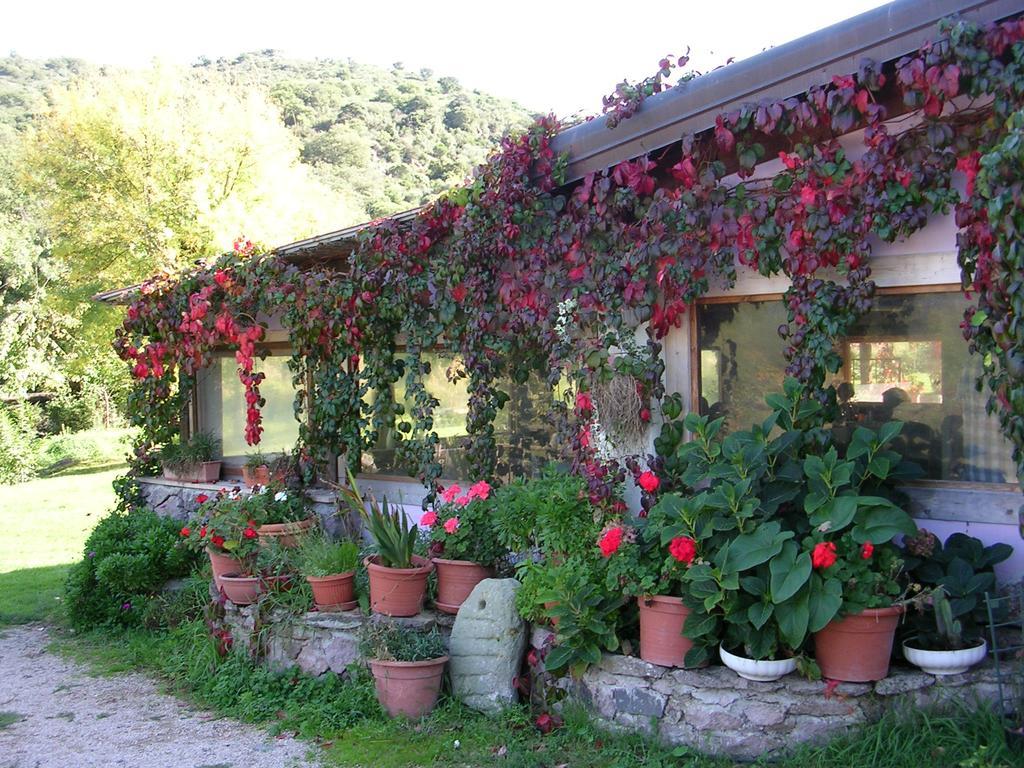 Sas Abbilas Bonorva Εξωτερικό φωτογραφία